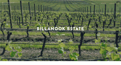 Desktop Screenshot of billanookestate.com.au
